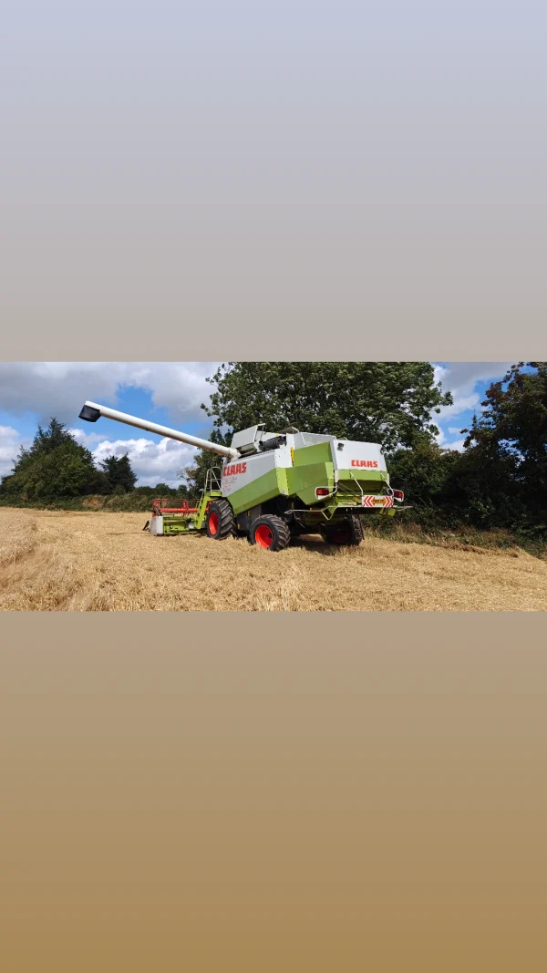 CLAAS LEXION 460 - Image 2